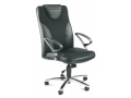 Race Chair (������ ��� �������������, ������� ������, ������� ������)