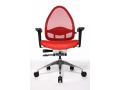 Open Base Ltd. (������ ��� ���������, ������� ������, ������� ������)