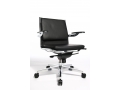 New Classic Chair 15 (������ ��� �������������, ������� ������, ������� ������)
