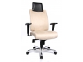 Sitness Chief 100 (������ ��� �������������, ������� ������, ������� ������)